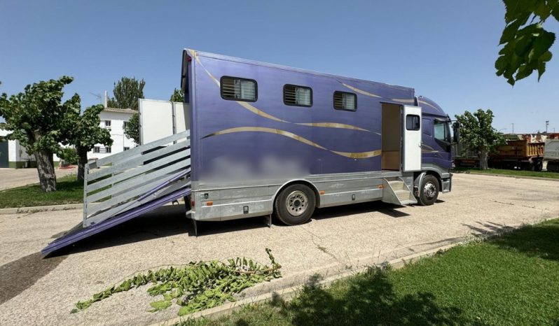 
								CAMION PARA CABALLOS IVECO AS440S4OT/P completo									