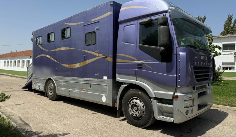 
								CAMION PARA CABALLOS IVECO AS440S4OT/P completo									