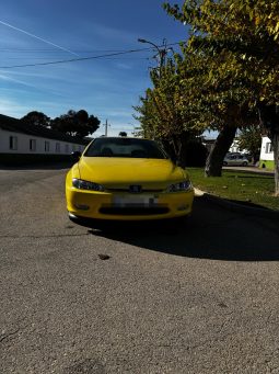 
										PEUGEOT 406 COUPE completo									