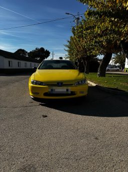 
										PEUGEOT 406 COUPE completo									